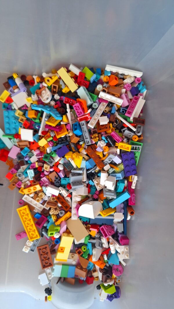 20251020_103732 LEGO mix 1kg dla dziewczynki
